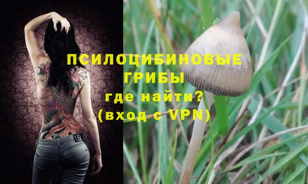Альфа ПВП Володарск